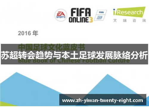 苏超转会趋势与本土足球发展脉络分析 苏超转会趋势与本土足球发展脉络分析